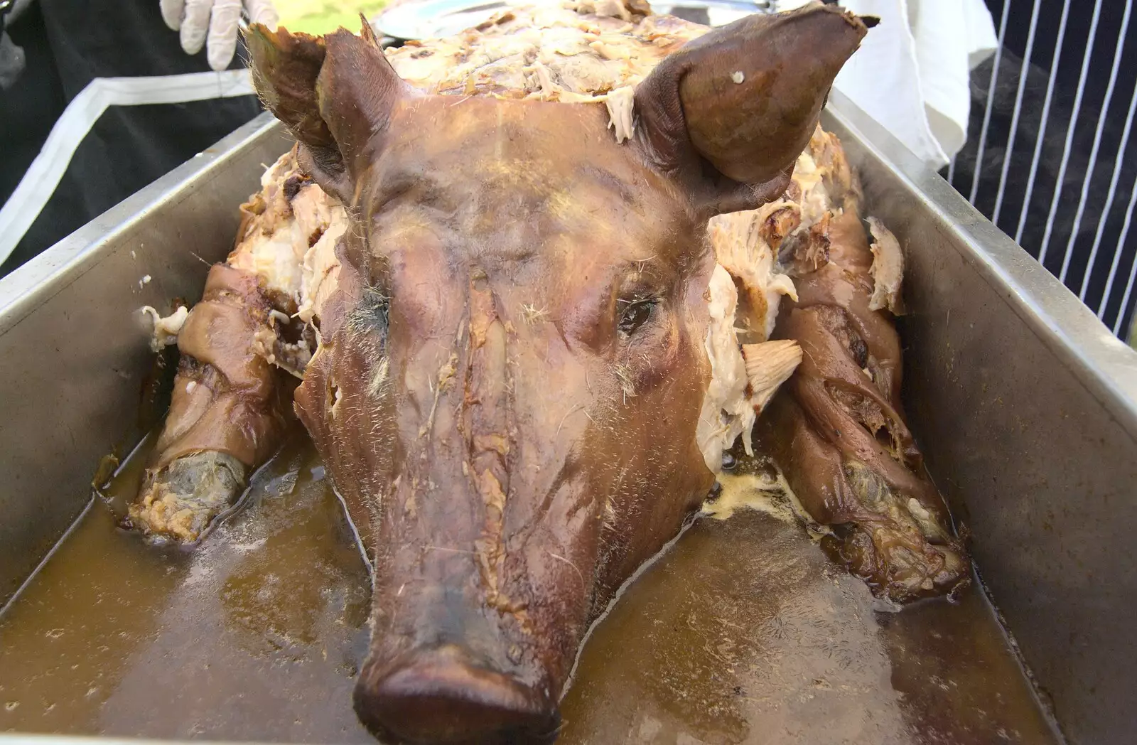 A roasted piggy head, from Thrandeston Pig: A Hog Roast, Little Green, Thrandeston, Suffolk - 29th June 2009