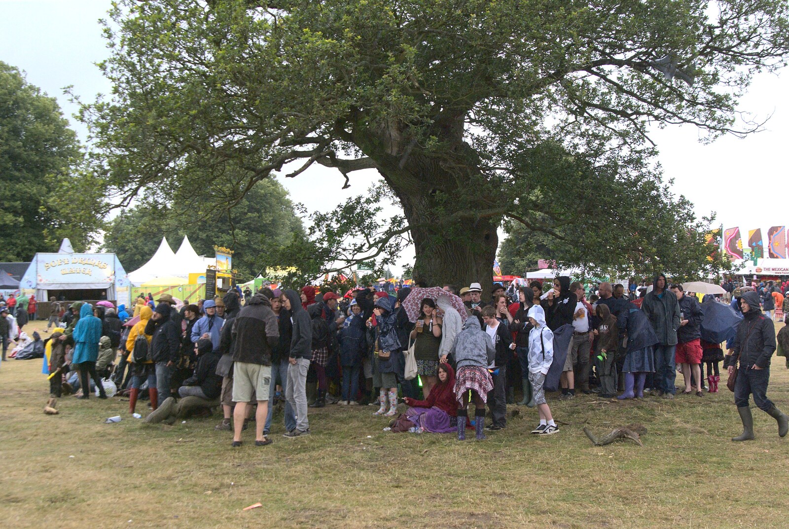 It rains so everyone hides under a tree from The Latitude Festival, Henham Park, Suffolk - 20th July 2009