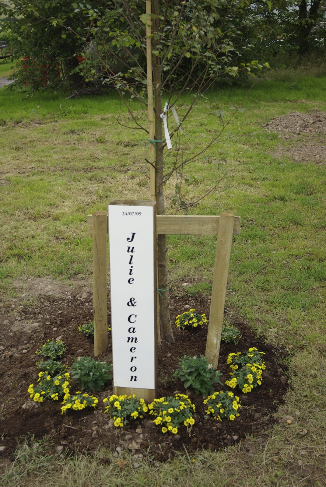 A tree is planted from Julie and Cameron's Wedding, Ballintaggart House, Dingle - 24th July 2009
