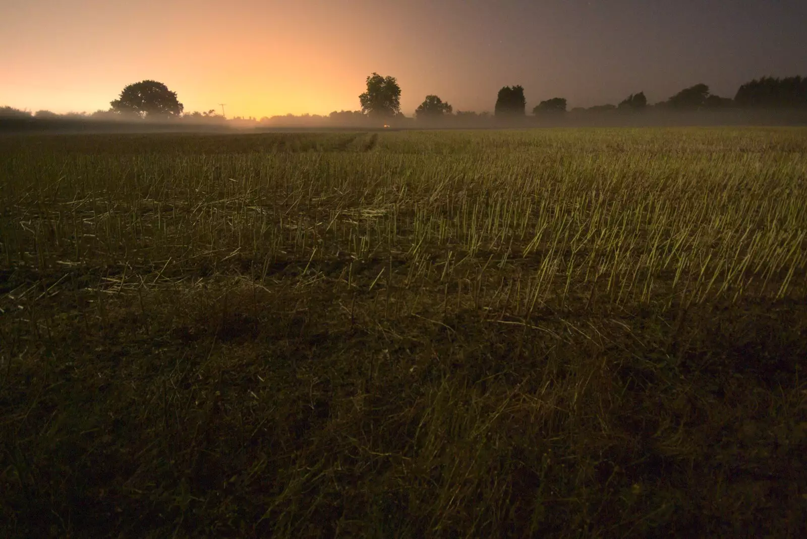 Another moolit field, from New Kittens and Moonlit Fields, Brome, Suffolk - 11th August 2009