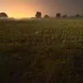 Another moolit field, New Kittens and Moonlit Fields, Brome, Suffolk - 11th August 2009