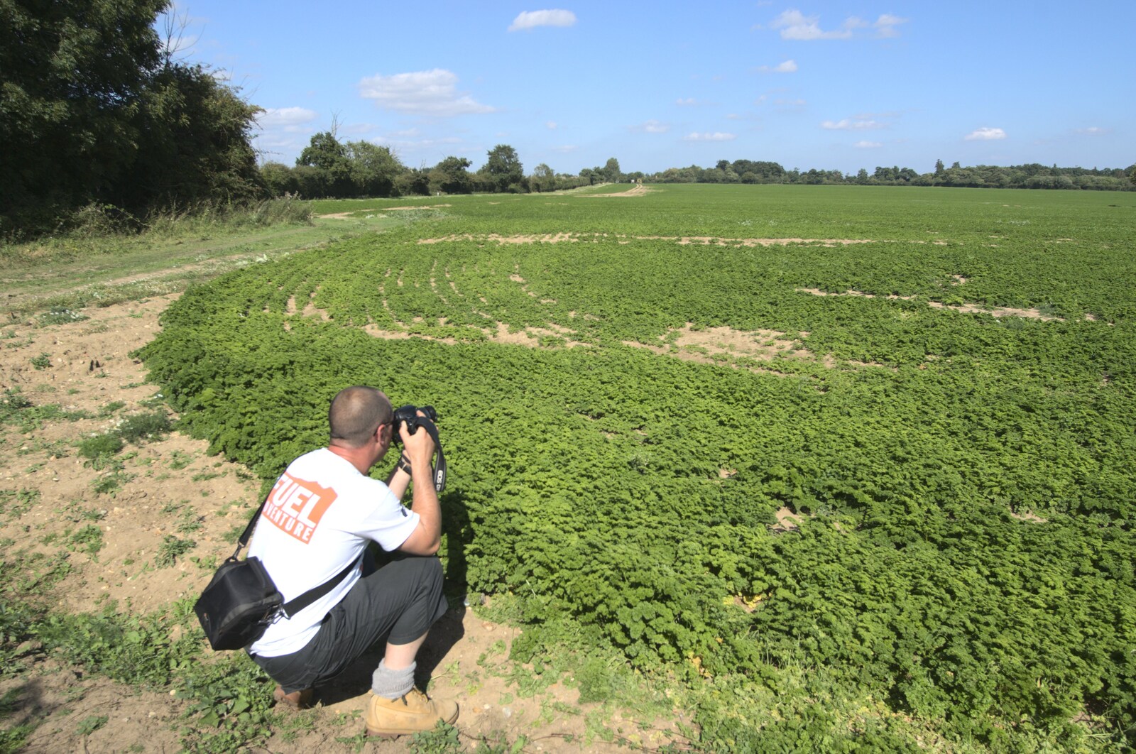 Matt takes a photo of a hundred acres of parsley from Sis and Matt Visit, and the Kittens Are Let Out, Brome, Suffolk - 21st August 2009