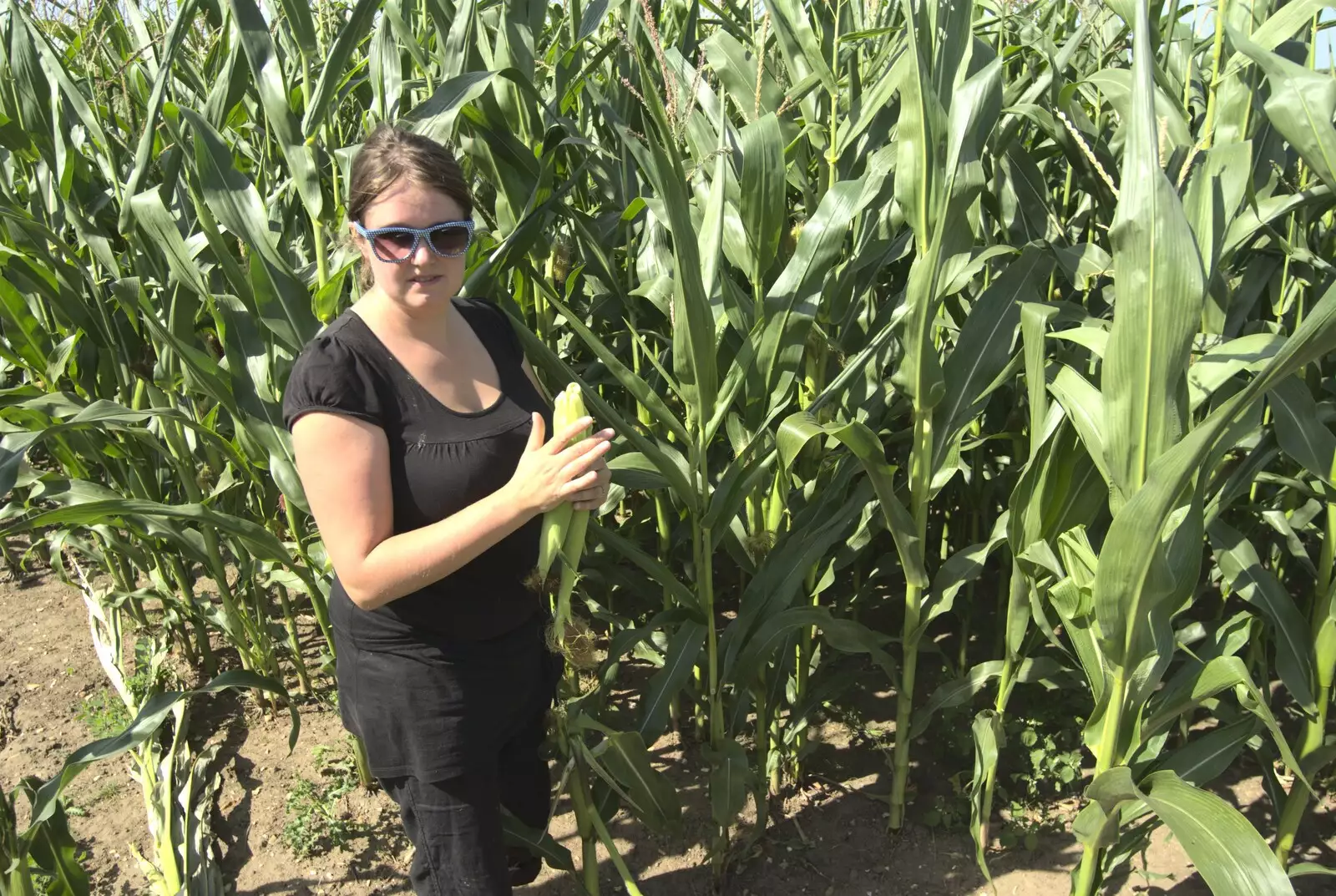 Isobel's in the corn again, from The BBs at Stradbroke, and Wavy's Cabin, Thrandeston, Suffolk - 22nd August 2009