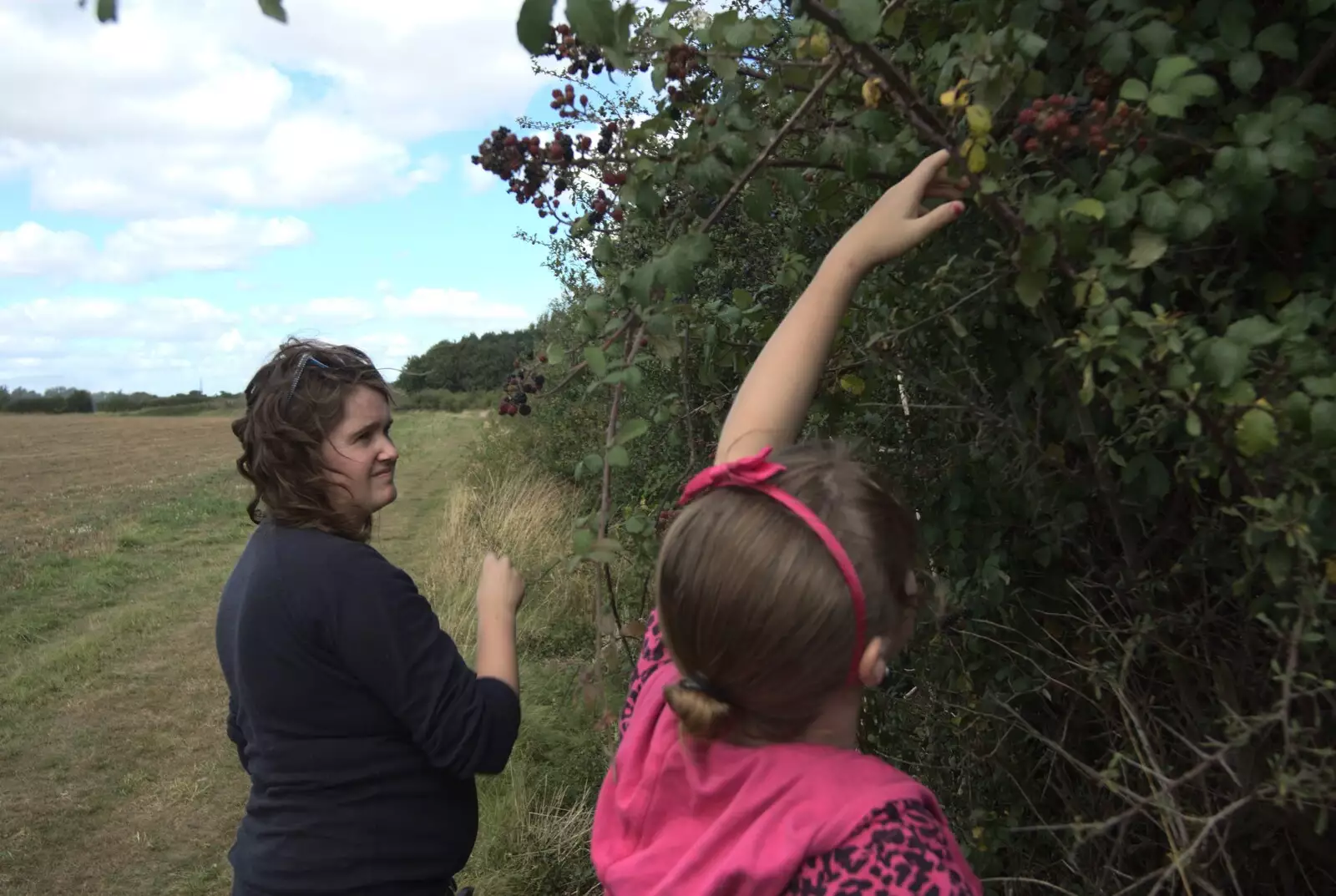 Emily reaches up for blackberries, from Emily and The Old Chap Visit, Brome, Suffolk - 29th August 2009