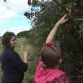 Emily reaches up for blackberries, Emily and The Old Chap Visit, Brome, Suffolk - 29th August 2009