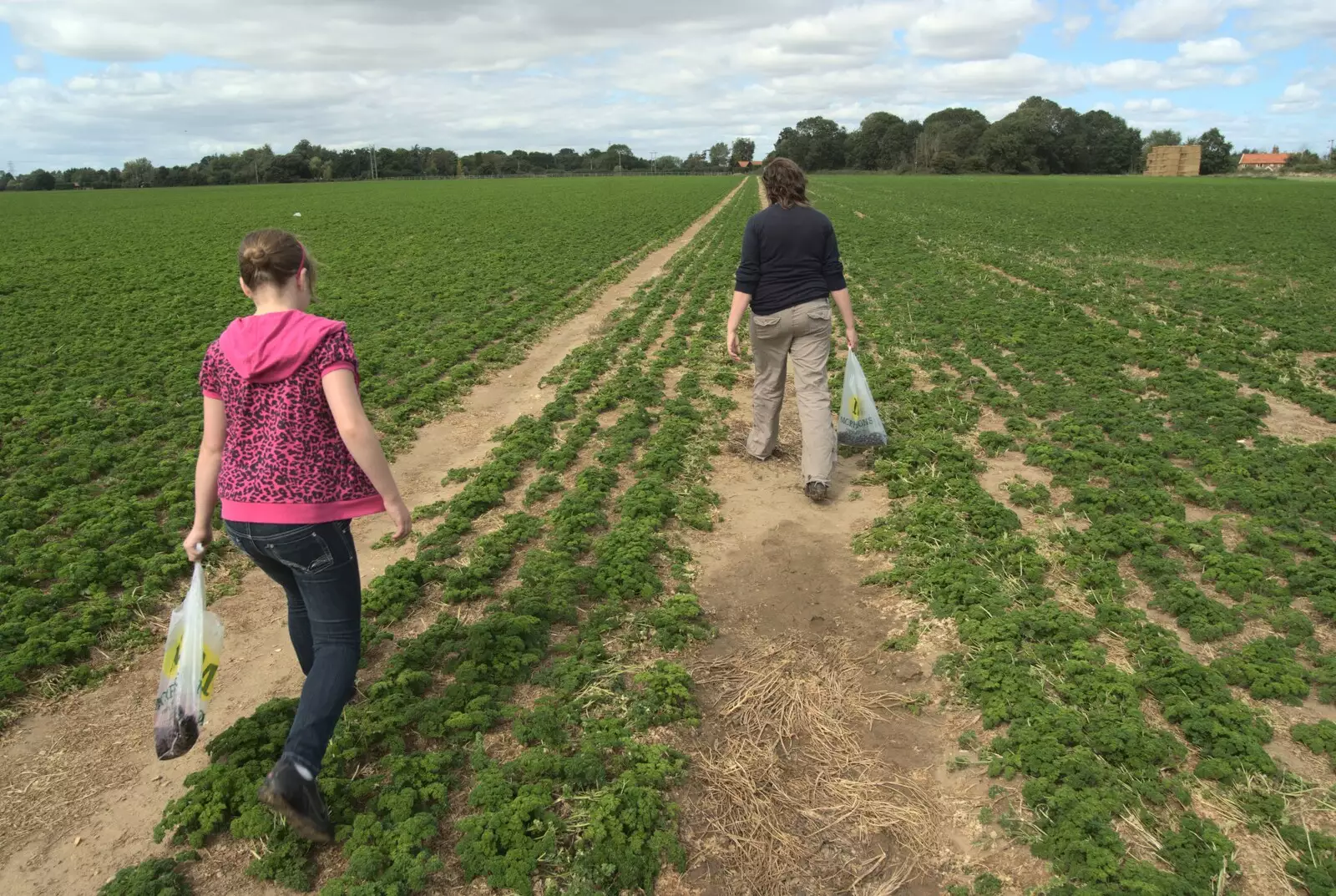 Crossing the parsley field, from Emily and The Old Chap Visit, Brome, Suffolk - 29th August 2009