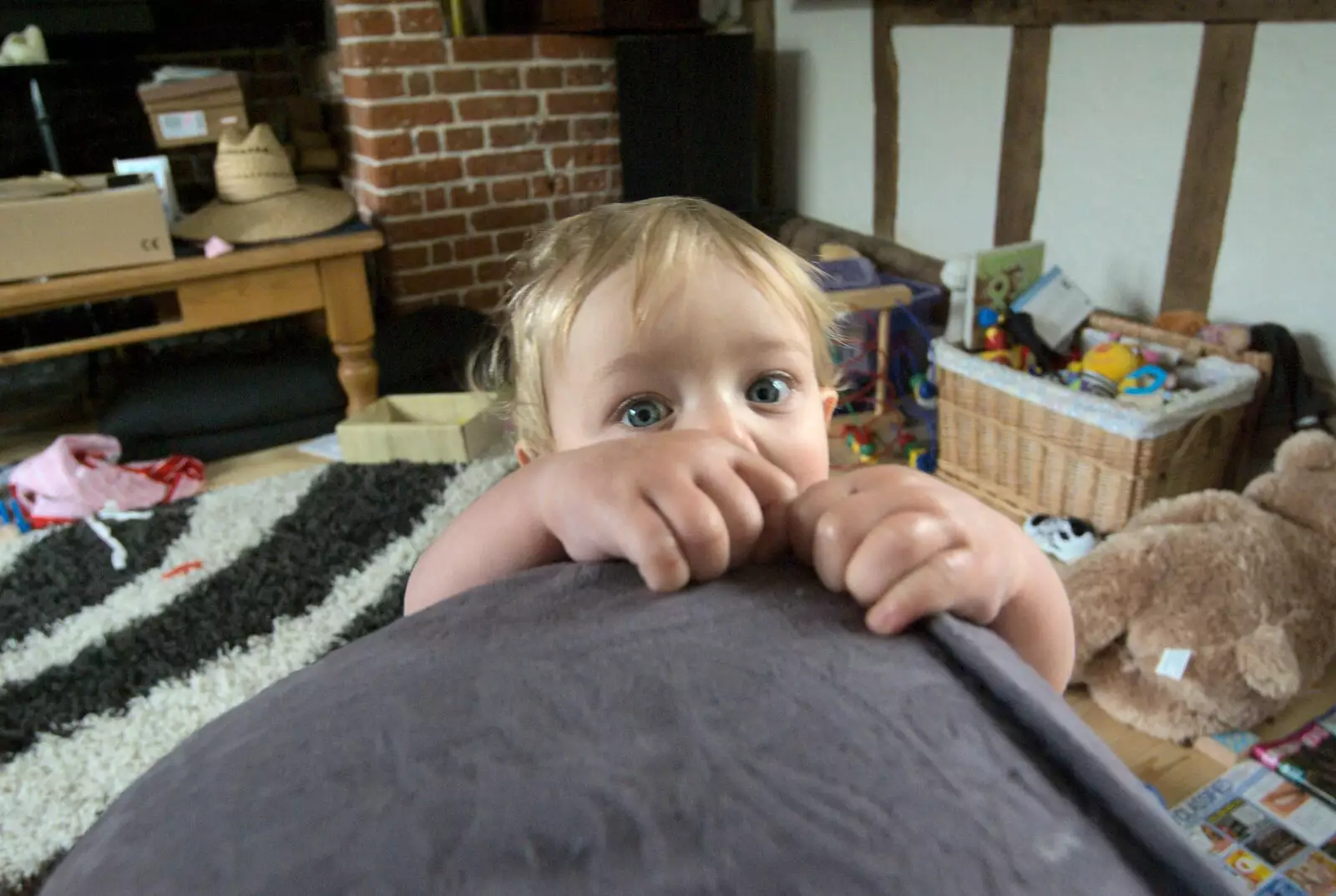 Fred crawls up the arm of the sofa, from Emily and The Old Chap Visit, Brome, Suffolk - 29th August 2009