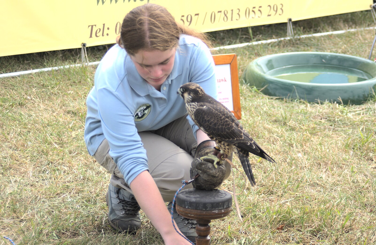 A girl with a kestrel from The Eye Show and the Red Arrows, Palgrave, Suffolk - 31st August 2009