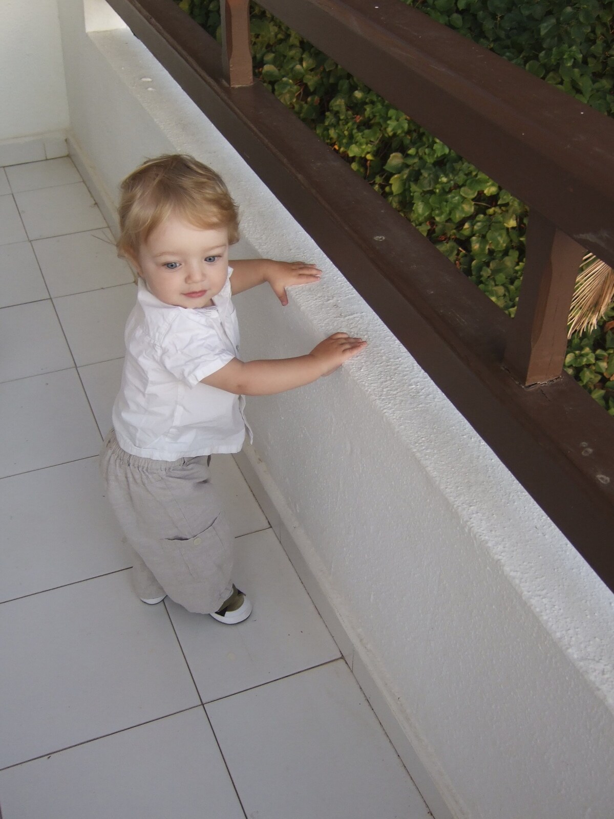 Fred roams around on the balcony from A Postcard From Palmanova, Mallorca, Spain - 21st September 2009
