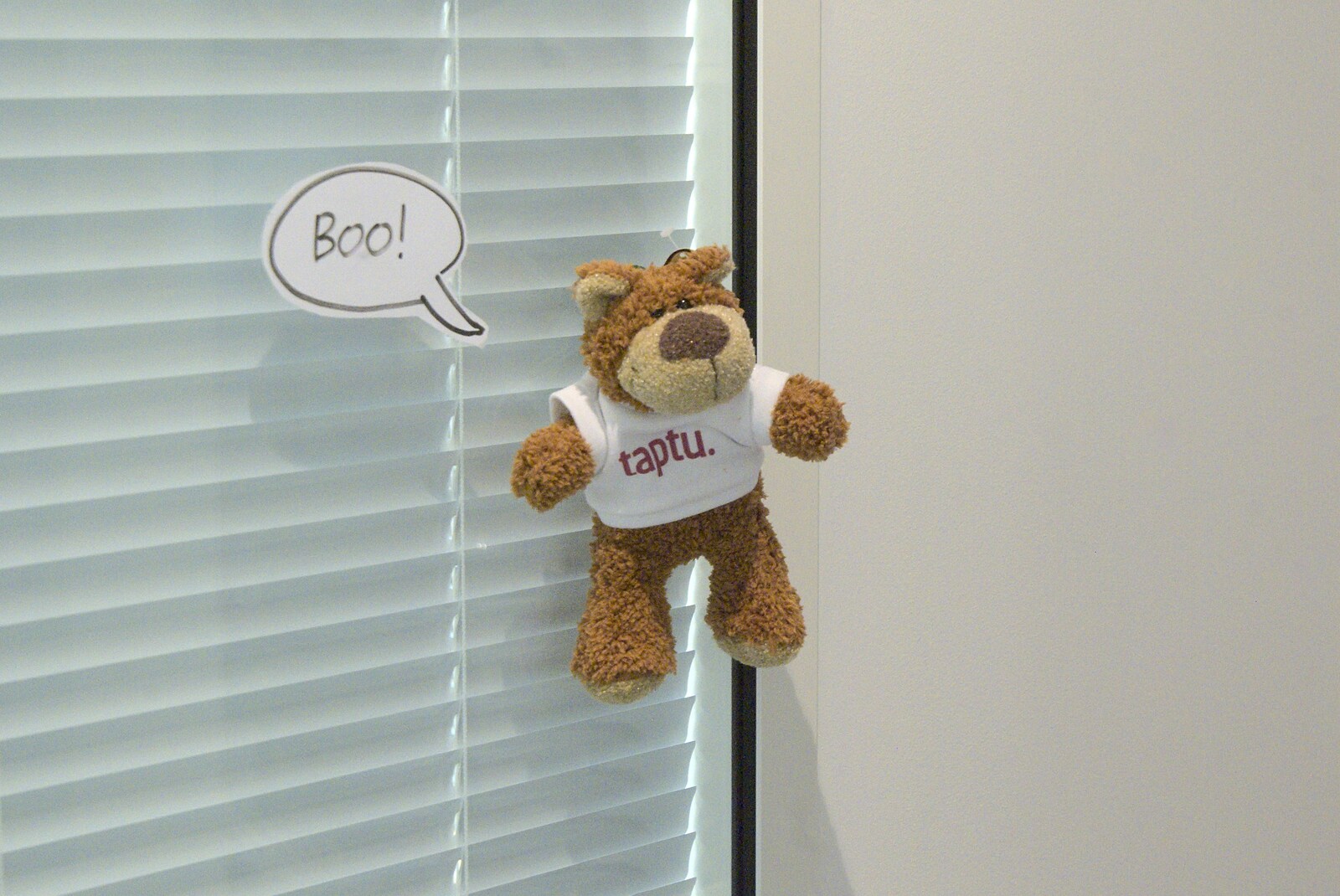 A Taptu Teddy hangs off an office window. from Ladybird Swarms, a Swiss Fondue and Cat-up-a-tree, Suffolk and Cambridge - 18th October 2009