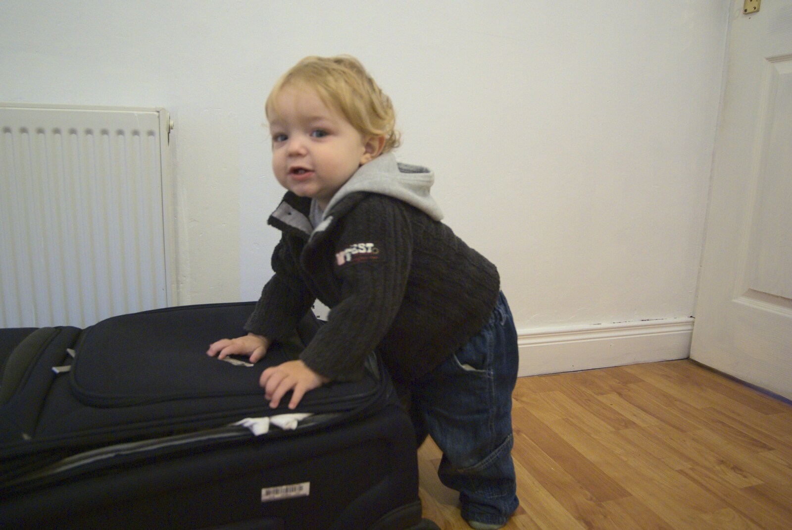 Fred pokes around on a suitcase from A Trip to Evelyn and Louise's, Monkstown Farm, County Dublin, Ireland - October 25th 2009