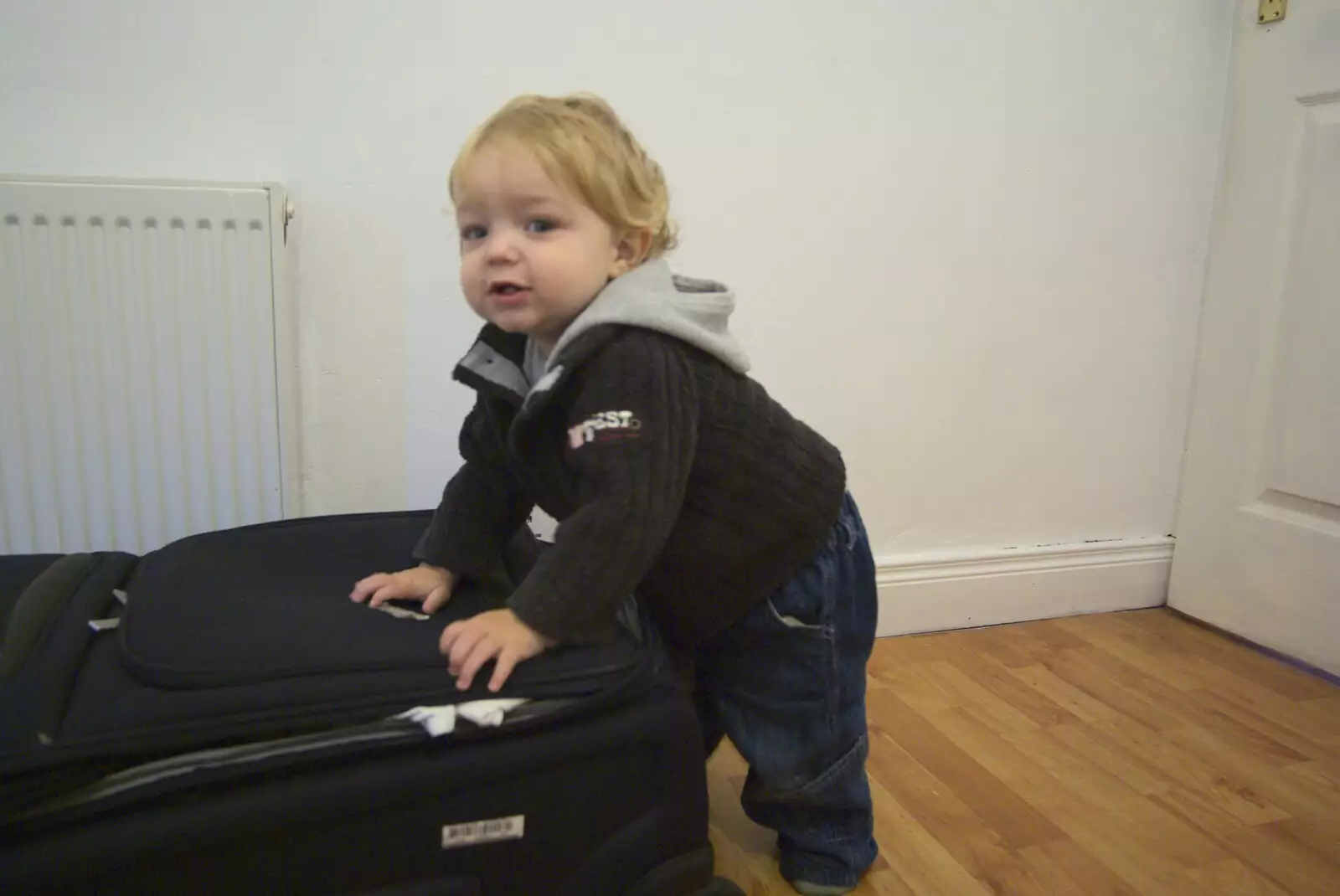 Fred pokes around on a suitcase, from A Trip to Evelyn and Louise's, Monkstown Farm, County Dublin, Ireland - October 25th 2009