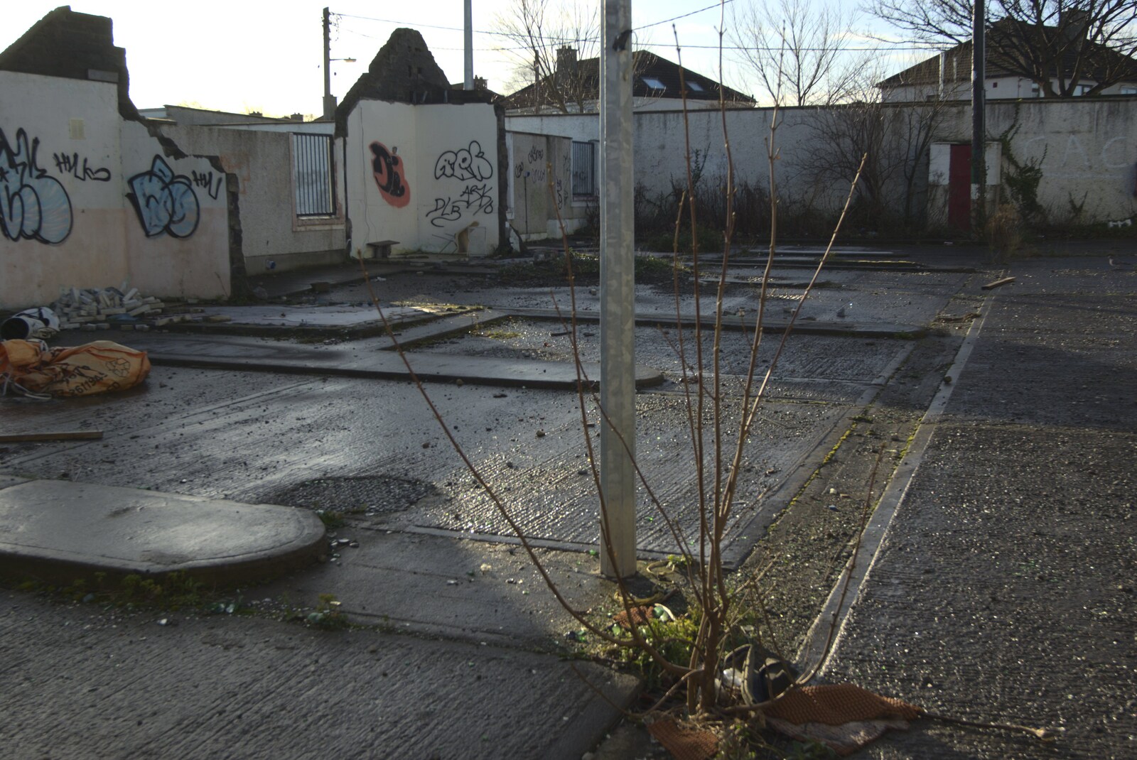 A tree grows in the derelict building from Monkstown Graffiti and Dereliction, County Dublin, Ireland - 26th December 2009