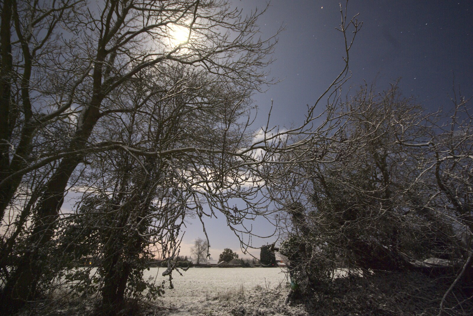 New Year's Eve at the Swan Inn, and Moonlight Photos, Brome, Suffolk - 31st December 2009: The moon through the hedge