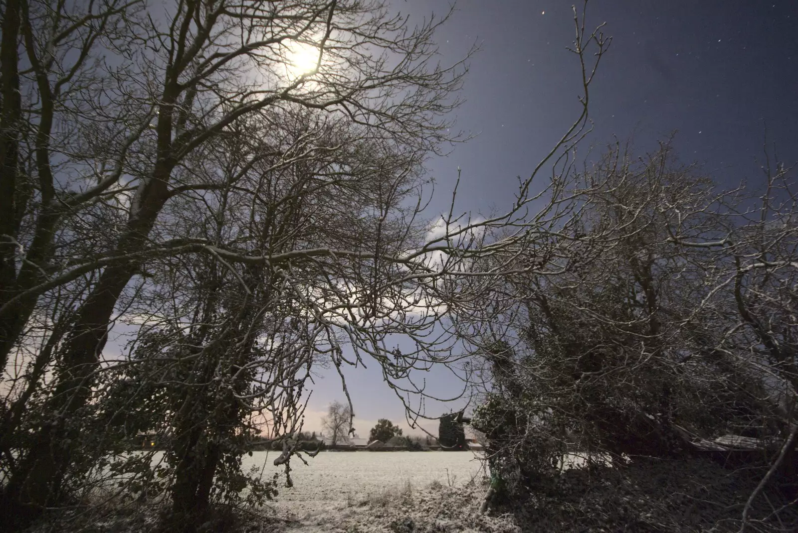 The moon through the hedge, from New Year's Eve at the Swan Inn, and Moonlight Photos, Brome, Suffolk - 31st December 2009