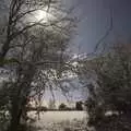 The moon through the hedge, New Year's Eve at the Swan Inn, and Moonlight Photos, Brome, Suffolk - 31st December 2009