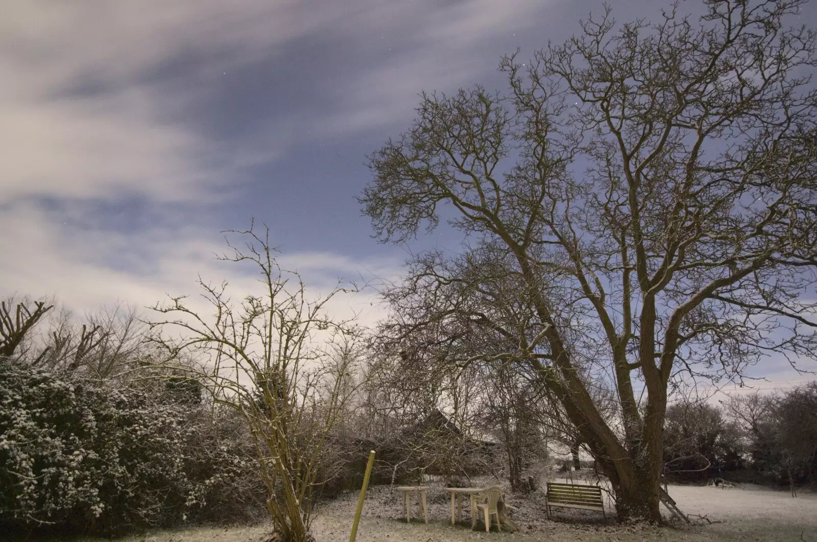 The back garden looks like daylight, from New Year's Eve at the Swan Inn, and Moonlight Photos, Brome, Suffolk - 31st December 2009