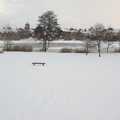 A view of the Mere from the park, A Snowy Miscellany, Diss, Norfolk - 9th January 2010