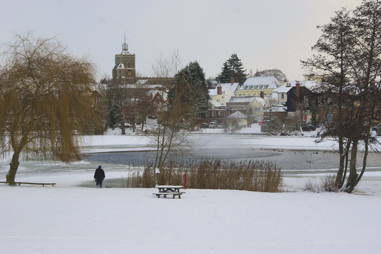 A Snowy Miscellany, Diss, Norfolk - 9th January 2010: Down by the Mere
