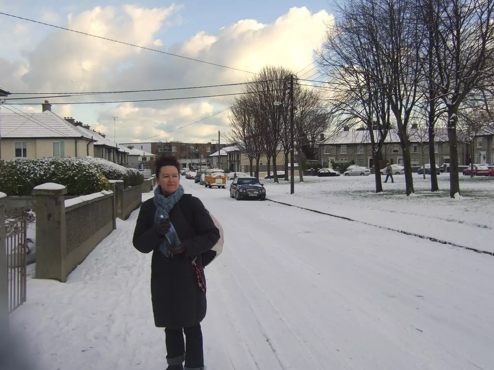 Evelyn on a snowy street, from Fred in Monkstown, County Dublin, Ireland - 2nd February 2010