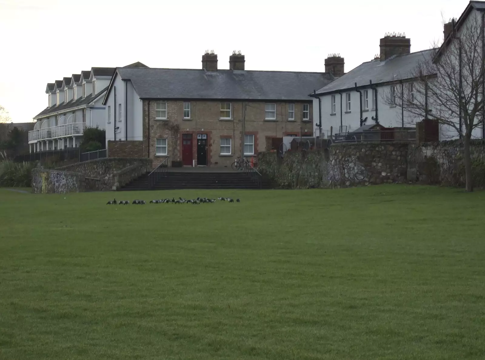 Blackrock Park, from Fred in Monkstown, County Dublin, Ireland - 2nd February 2010