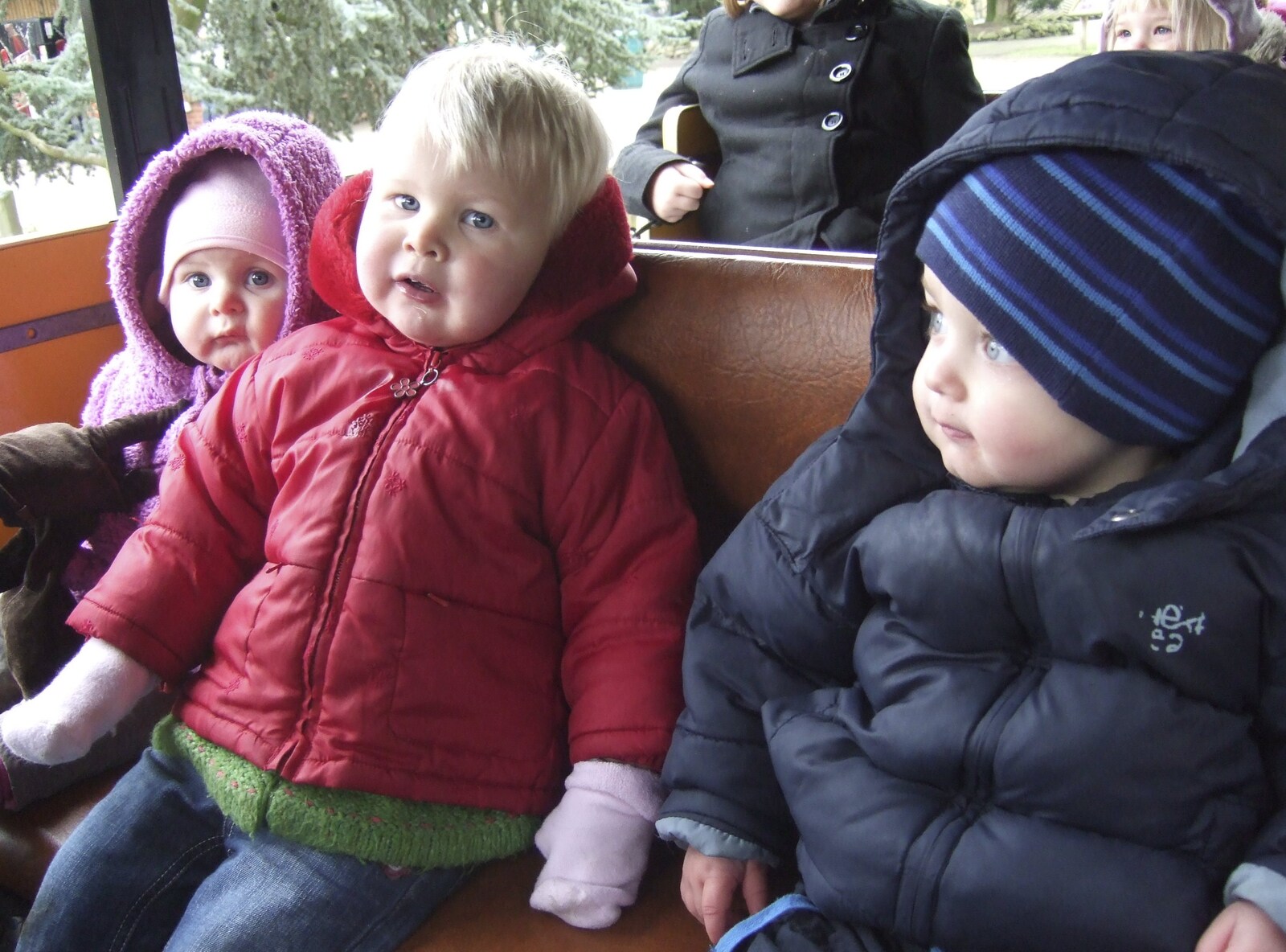 Sophie, Grace and Fred on the zoo train from Fred in Monkstown, County Dublin, Ireland - 2nd February 2010