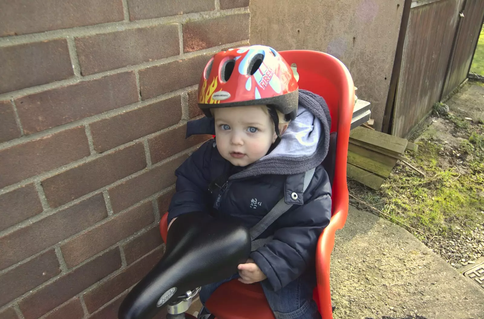 Fred in his bike seat, from A Cycle to The Laundries, and a Trip to Framlingham, Suffolk - 24th March 2010