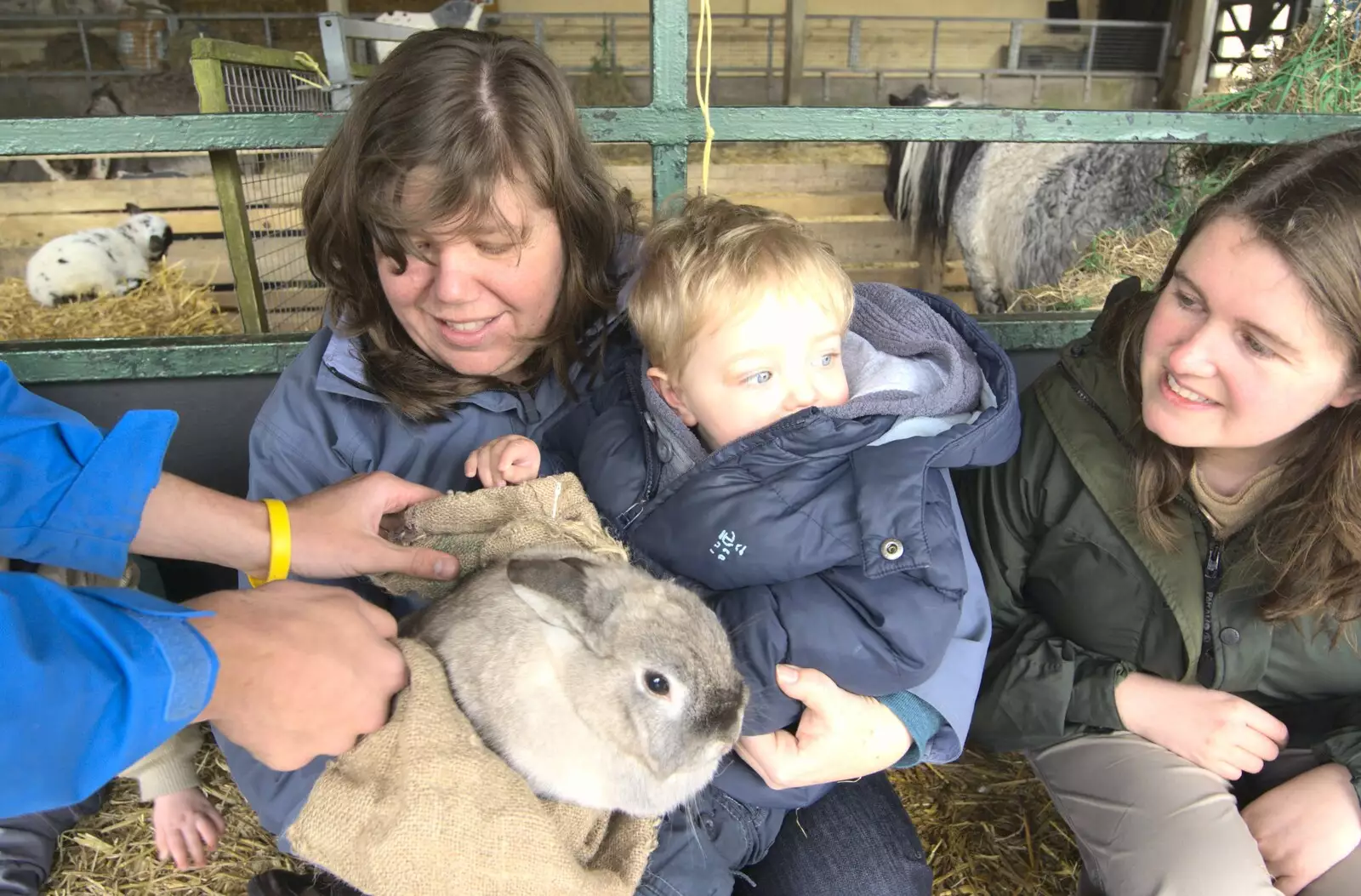 A rabbit is carried out, from Easter in Chagford and Hoo Meavy, Devon - 3rd April 2010