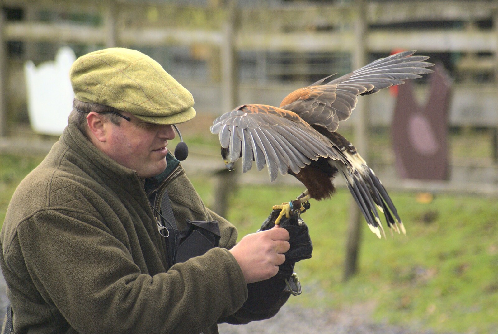 A bloke with a kestrel from Easter in Chagford and Hoo Meavy, Devon - 3rd April 2010