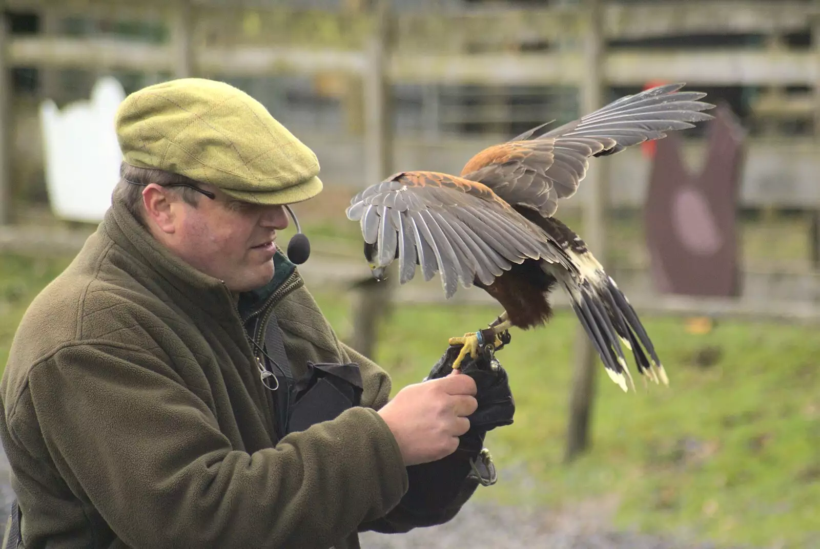 A bloke with a kestrel, from Easter in Chagford and Hoo Meavy, Devon - 3rd April 2010