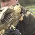 A kestrel eats another bird's head, Easter in Chagford and Hoo Meavy, Devon - 3rd April 2010