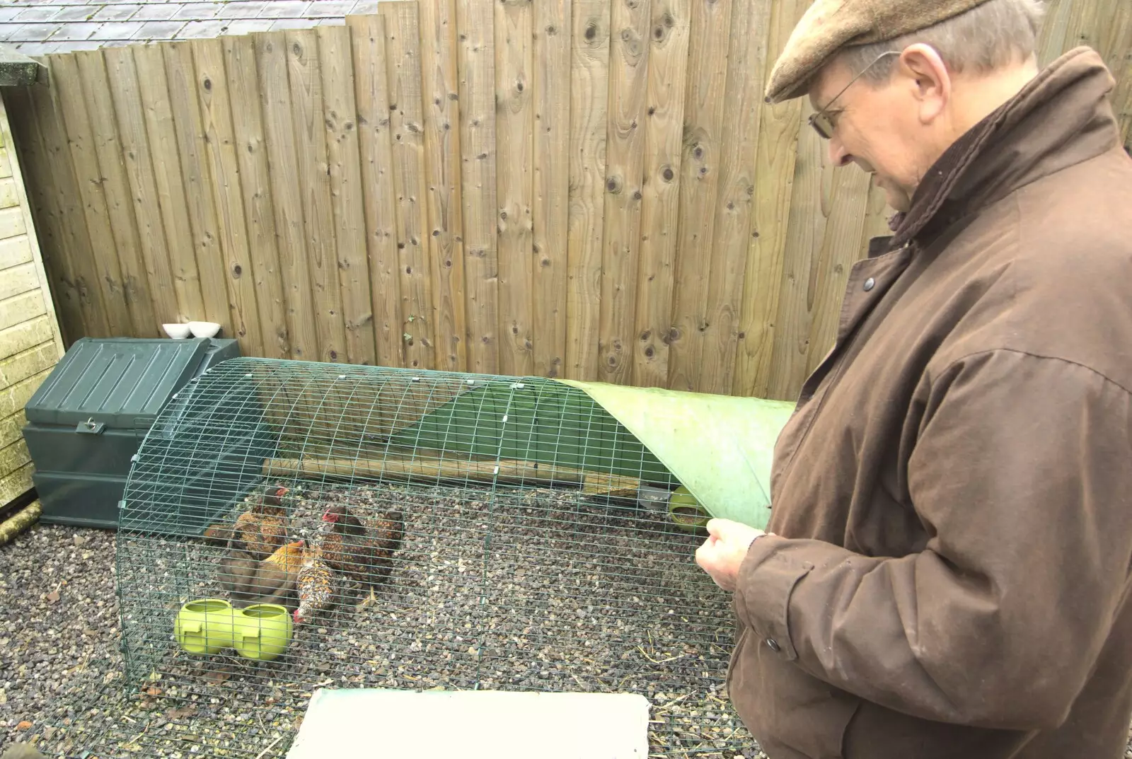 Mike inspects some chickens, from Easter in Chagford and Hoo Meavy, Devon - 3rd April 2010