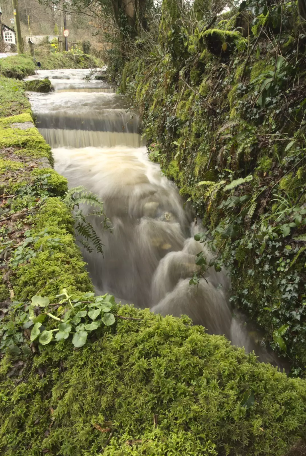 The stream by the side of the road, from Easter in Chagford and Hoo Meavy, Devon - 3rd April 2010