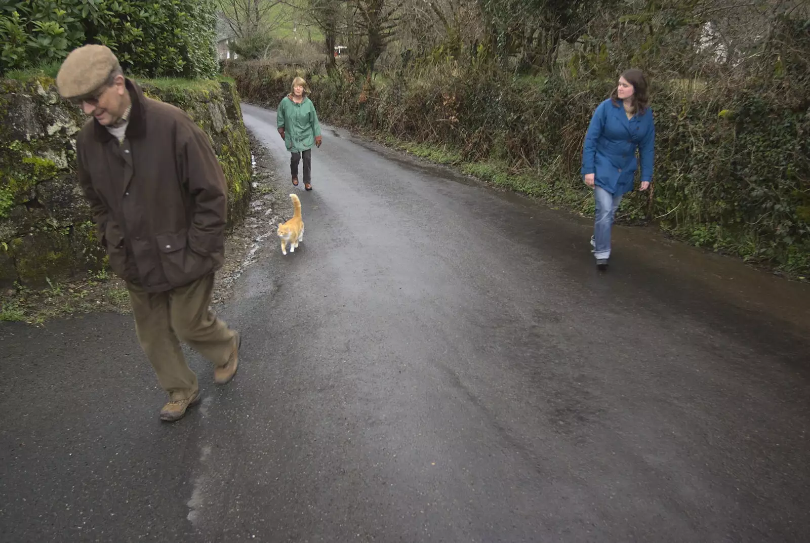 A stripey ginger cat follows us up the road, from Easter in Chagford and Hoo Meavy, Devon - 3rd April 2010