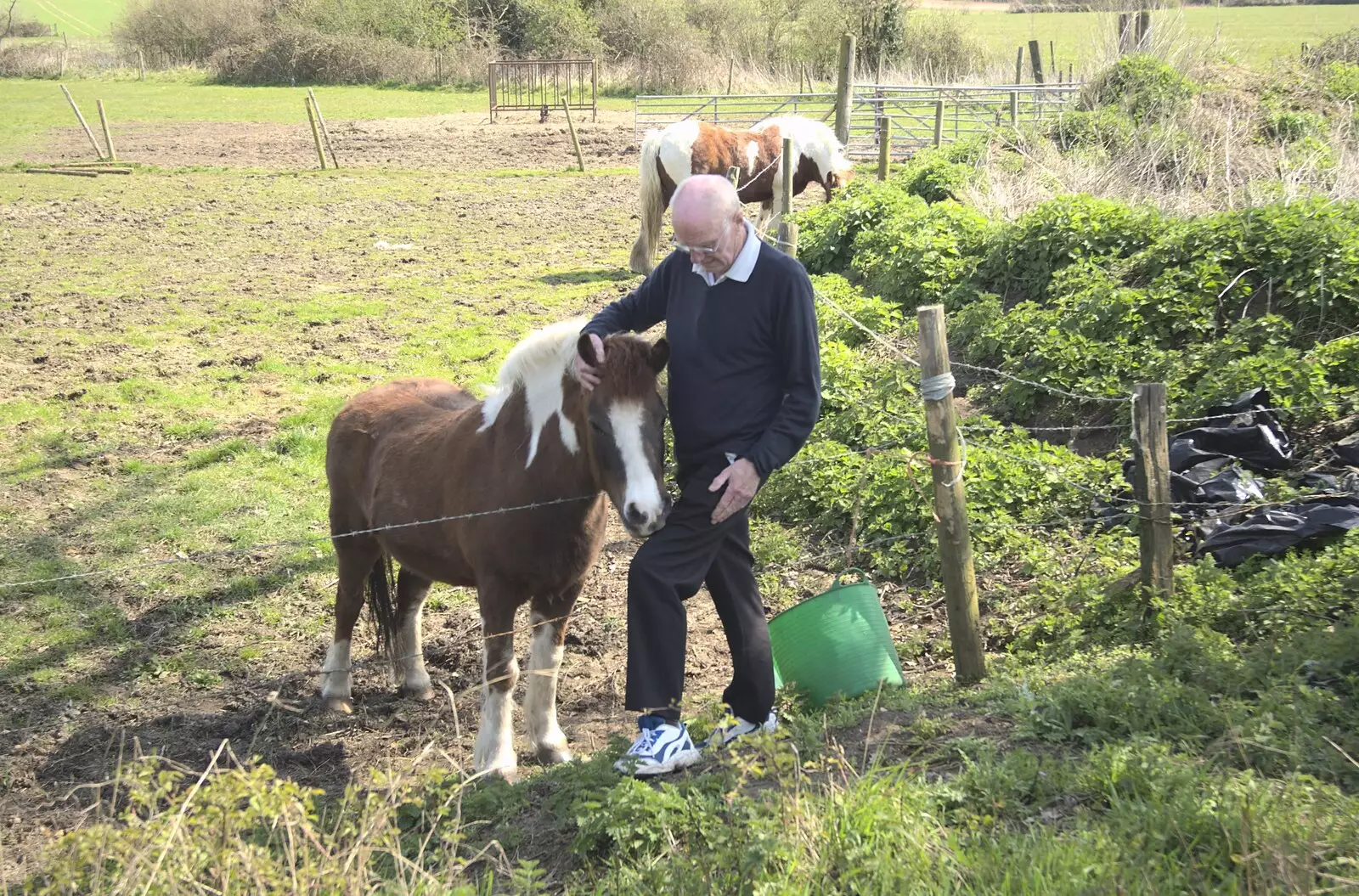 Grandad says hi to a pony, from Stupid Volcanic Ash: Southwold and Stuston Farm Shop, Suffolk - 18th April 2010