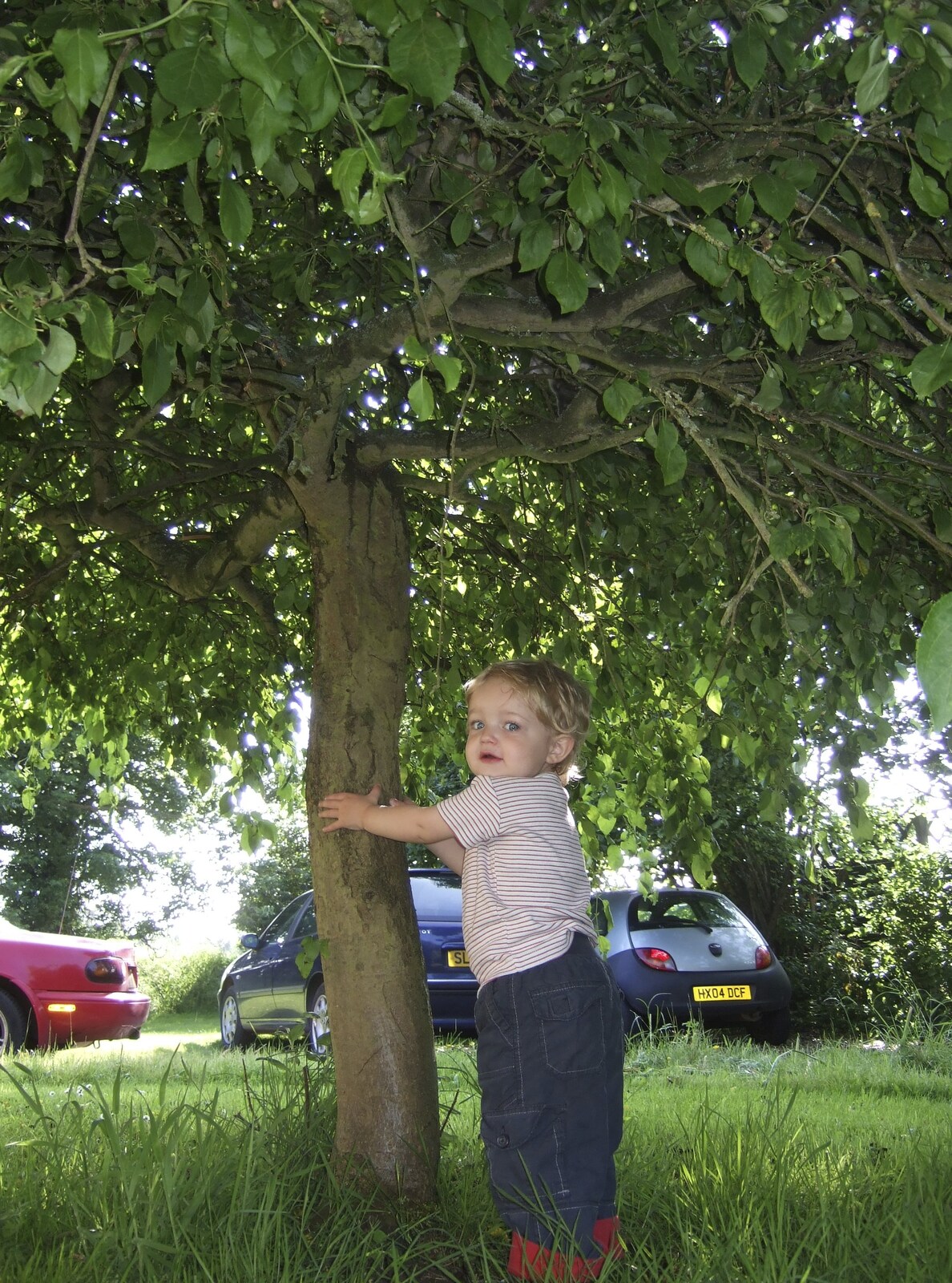 Pre-Wedding Beers at The Swan, Brome, Suffolk - 19th June 2010: Fred under a tree