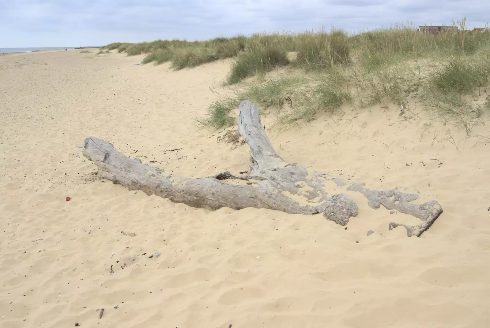 A large chunk of driftwood on the beach, from A "Minimoon" and an Adnams Brewery Trip, Southwold, Suffolk - 7th July 2010