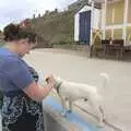 Isobel meets a small dog on the promenade, A "Minimoon" and an Adnams Brewery Trip, Southwold, Suffolk - 7th July 2010