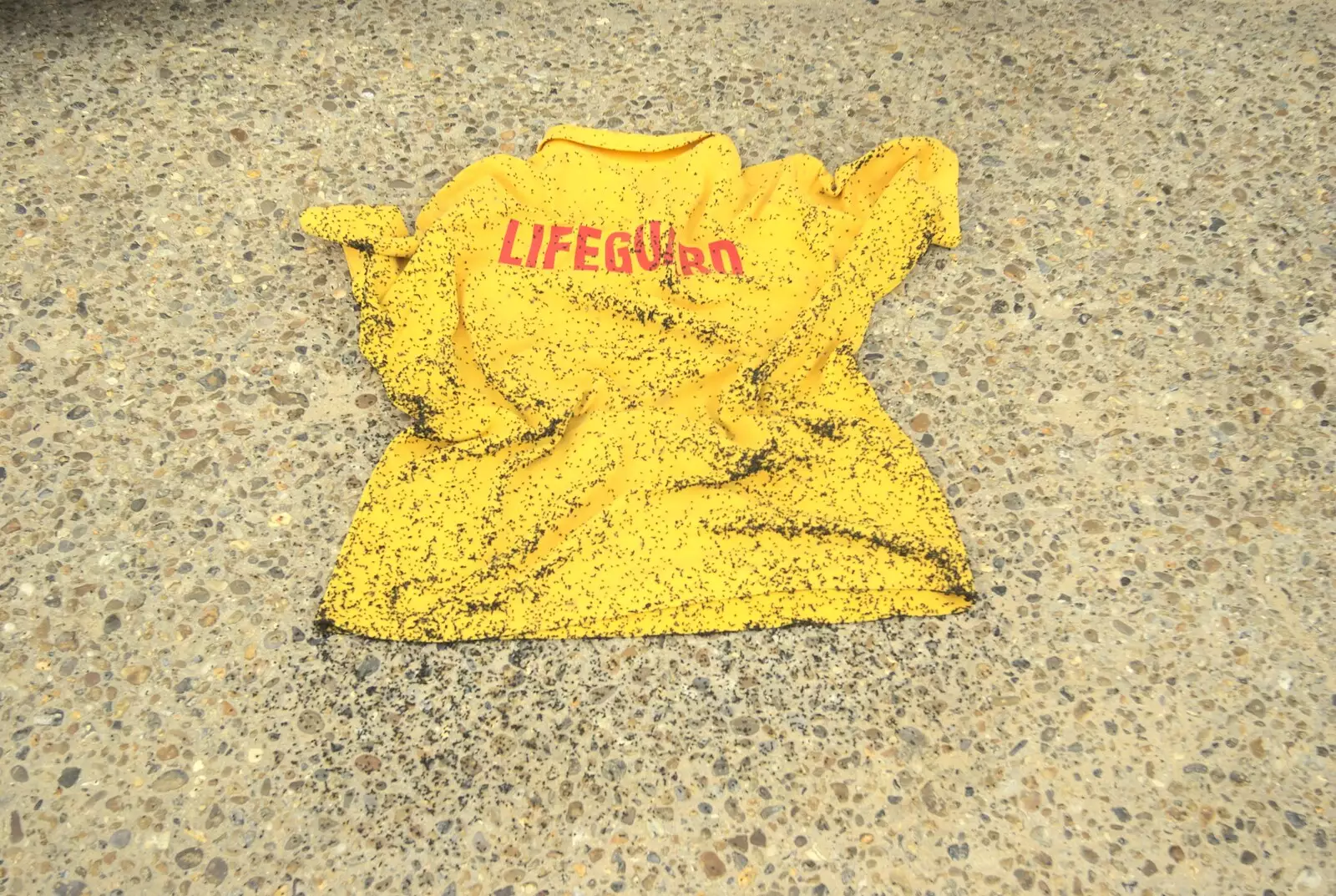 A lifeguard vest is infested with mini beeetles, from A "Minimoon" and an Adnams Brewery Trip, Southwold, Suffolk - 7th July 2010