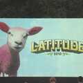 The Fifth Latitude Festival, Henham Park, Suffolk - 16th July 2010, A pink Latitude lamb