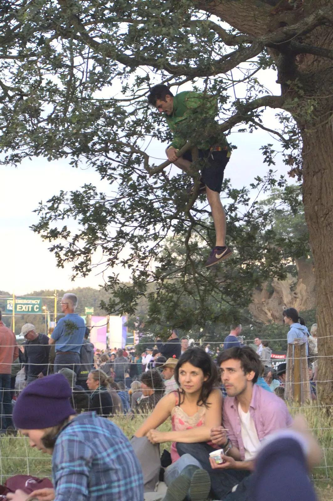 Somebody's up a tree, from The Fifth Latitude Festival, Henham Park, Suffolk - 16th July 2010