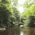 The river in Devil's Glen, A Walk in Devil's Glen, County Wicklow, Ireland - 31st July 2010