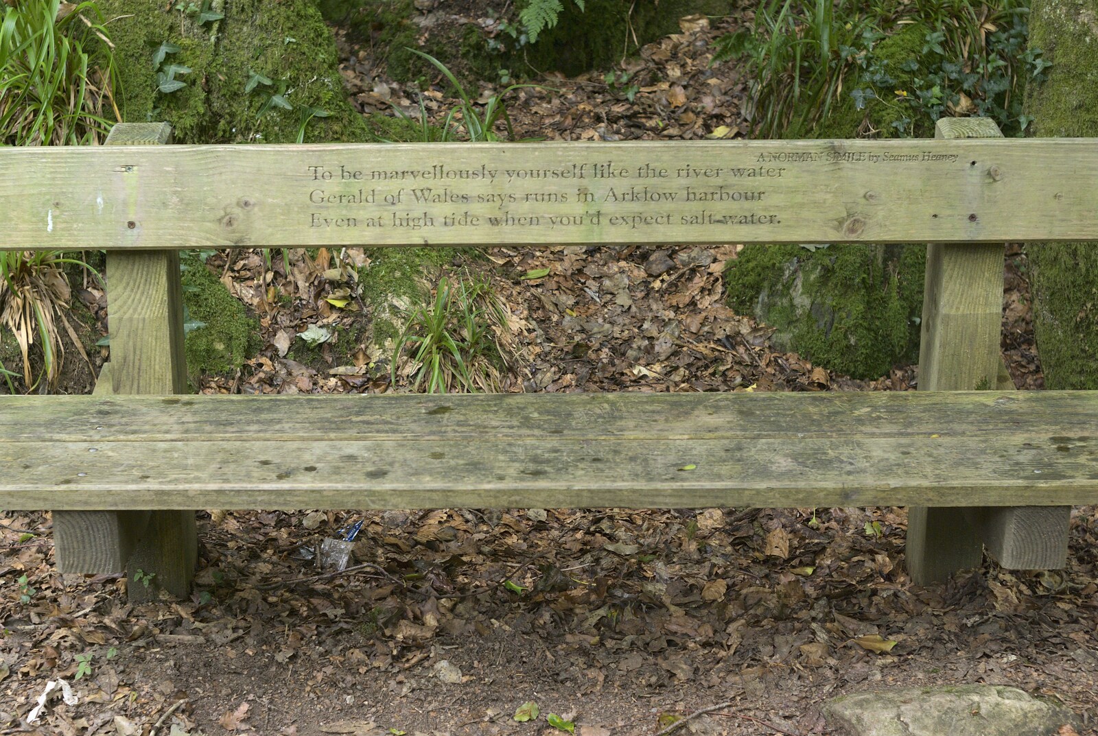 A bench with a Seamus Heaney quote from A Walk in Devil's Glen, County Wicklow, Ireland - 31st July 2010