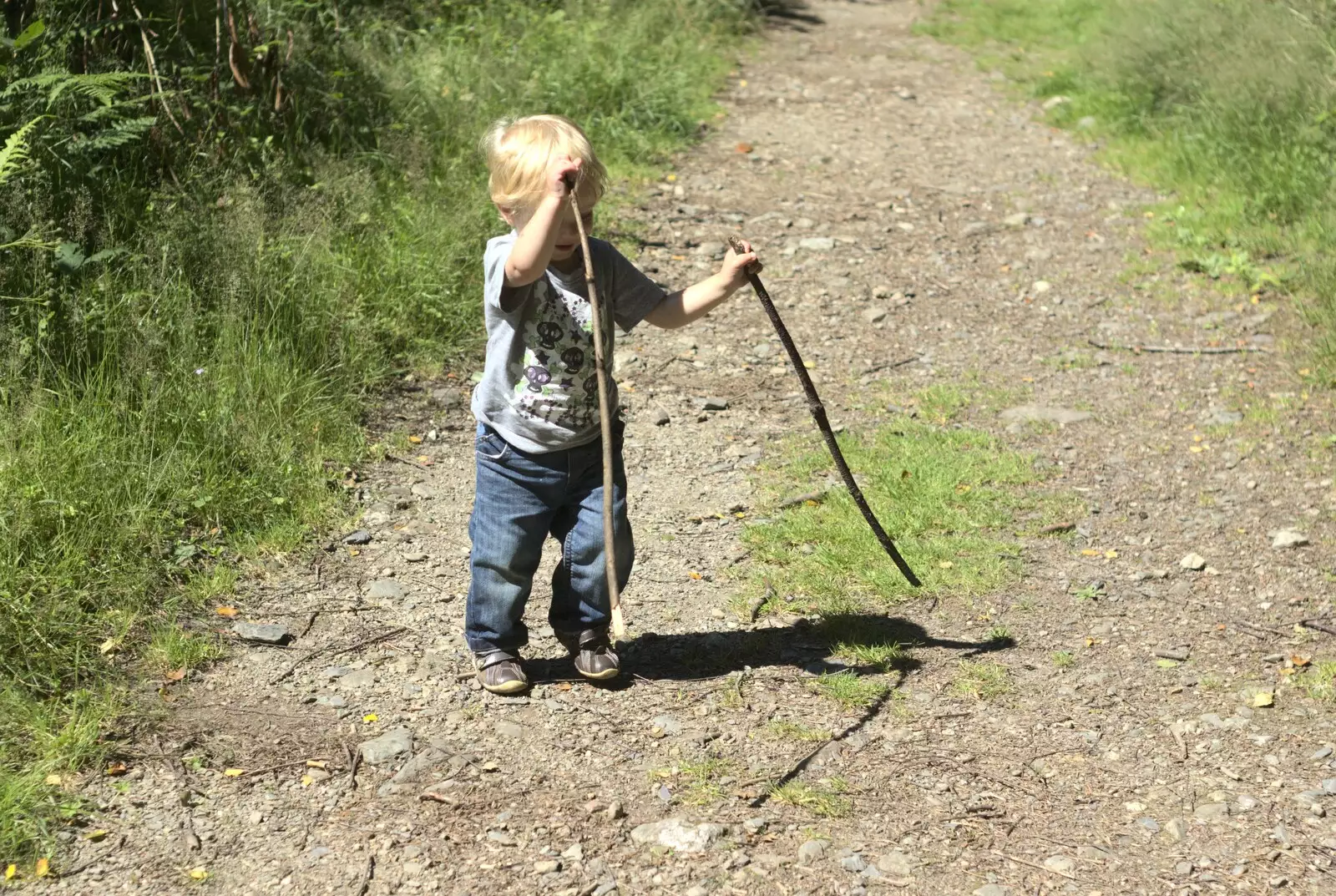 Fred's got two sticks now, from A Walk in Devil's Glen, County Wicklow, Ireland - 31st July 2010