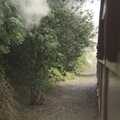 Steam and smoke blow through the trees, Camping with Trains, Yaxham, Norfolk - 29th August 2010