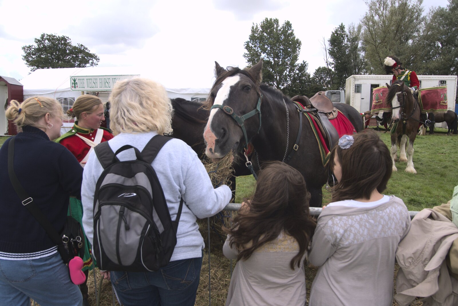 The Eye Show, Palgrave, Suffolk - 30th August 2010: Crowds meet a horse