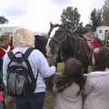 Crowds meet a horse, The Eye Show, Palgrave, Suffolk - 30th August 2010