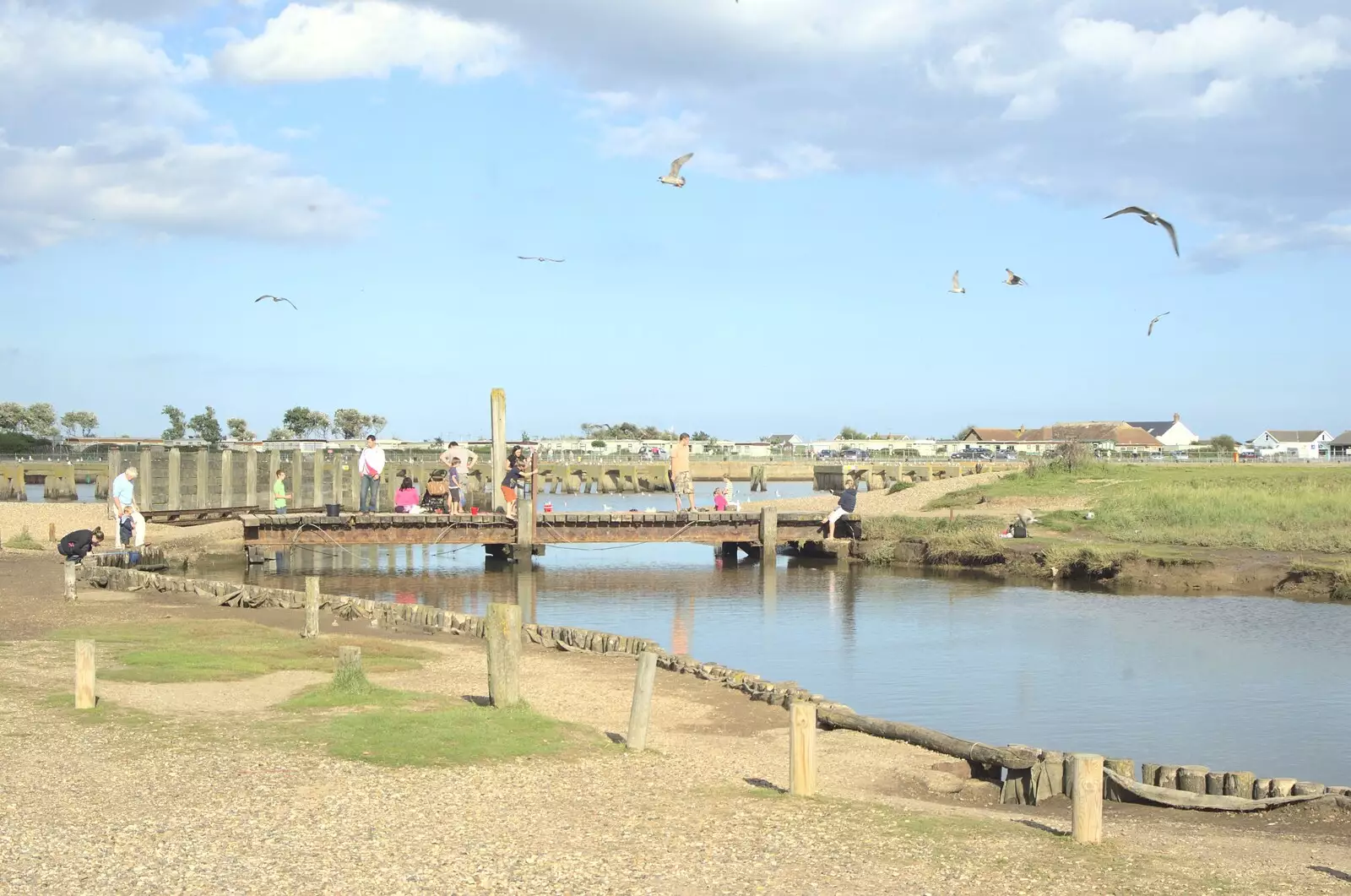 Gulls wheel around over the bridge, from A Trip to Walberswick, Suffolk - 12th September 2010