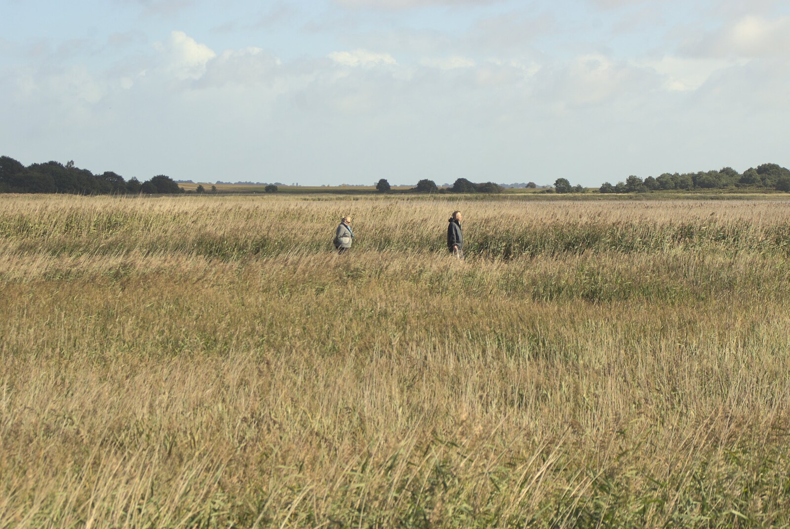 The Aldeburgh Food Festival, Snape Maltings, Suffolk - 25th September 2010: People roam about in the reeds