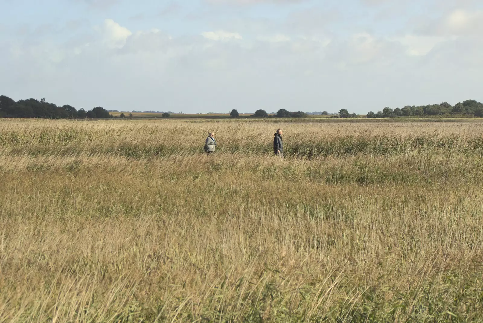 People roam about in the reeds, from The Aldeburgh Food Festival, Snape Maltings, Suffolk - 25th September 2010